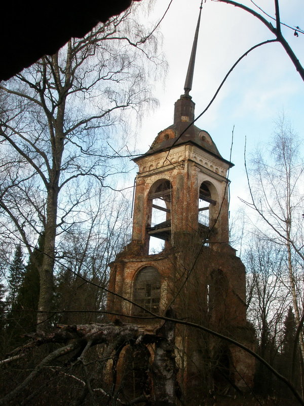 PB040024.jpg
