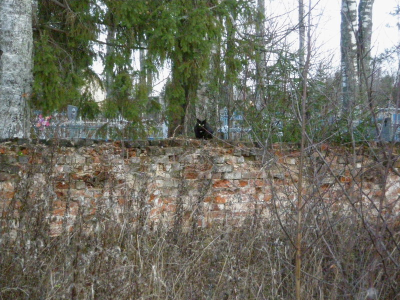 PB040029.jpg