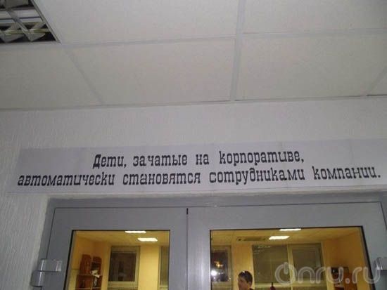  цветы жизни.jpg