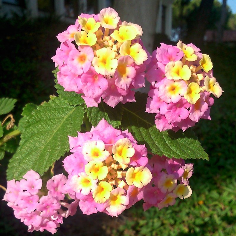 IMG_20131119_141408.jpg