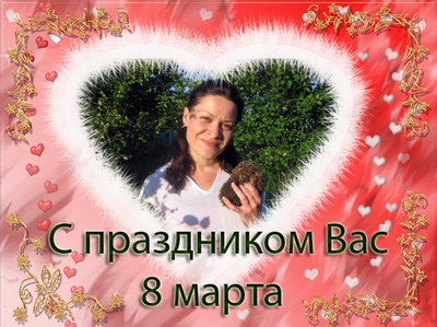 normal_0801.jpg