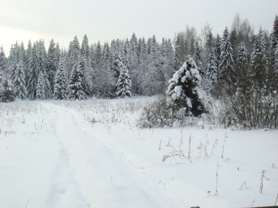 DSC03576.JPG