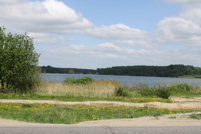 IMG_9154.JPG