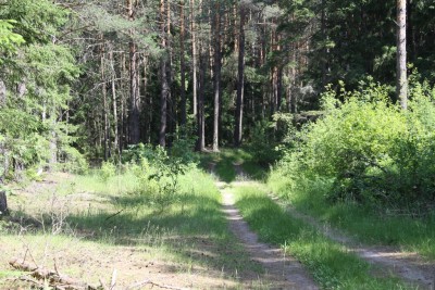 IMG_9682.jpg