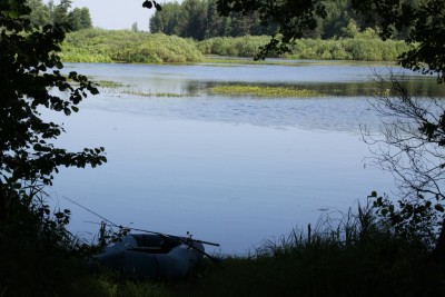 IMG_9665.jpg