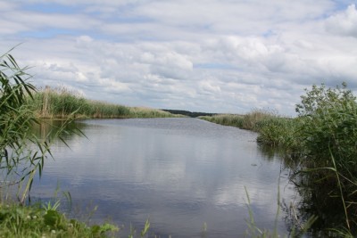 IMG_9705.jpg