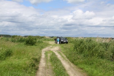 IMG_9716.jpg